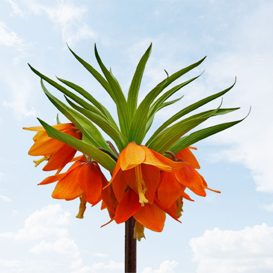 polzovateli-koshelka--o-dengi--perechislili-bolee-milliona-somov-v-pomosch-batkenu